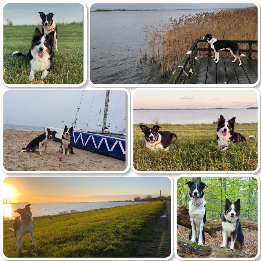 Riverside-Lemmer Esterno foto